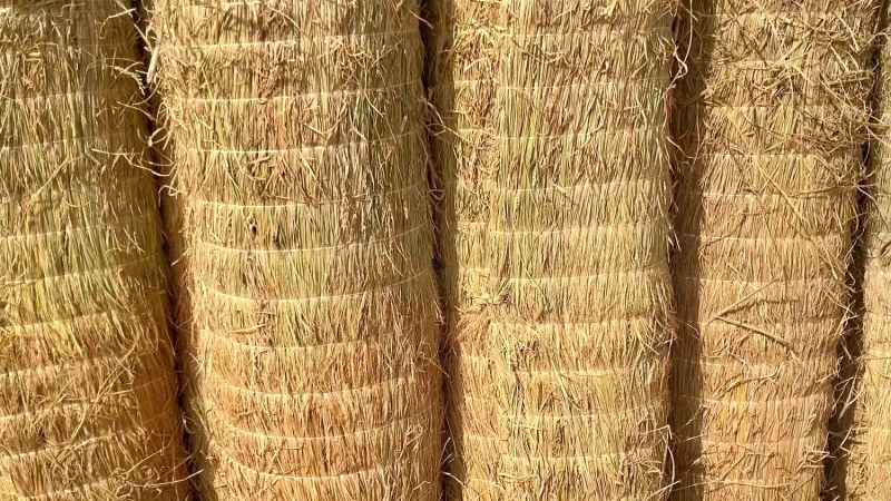 【草类物料】适配大棚覆盖、园林绿化、工程防护、多种场景等