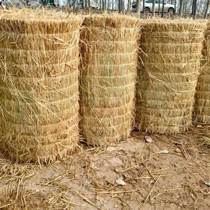 【草类物料】适配大棚覆盖、园林绿化、工程防护、多种场景等