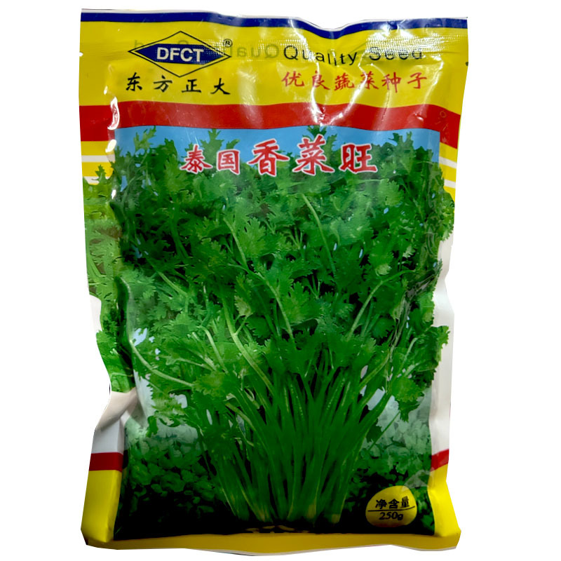 泰国香菜旺香菜种子晚抽苔大叶芫荽250g耐热耐寒耐抽苔