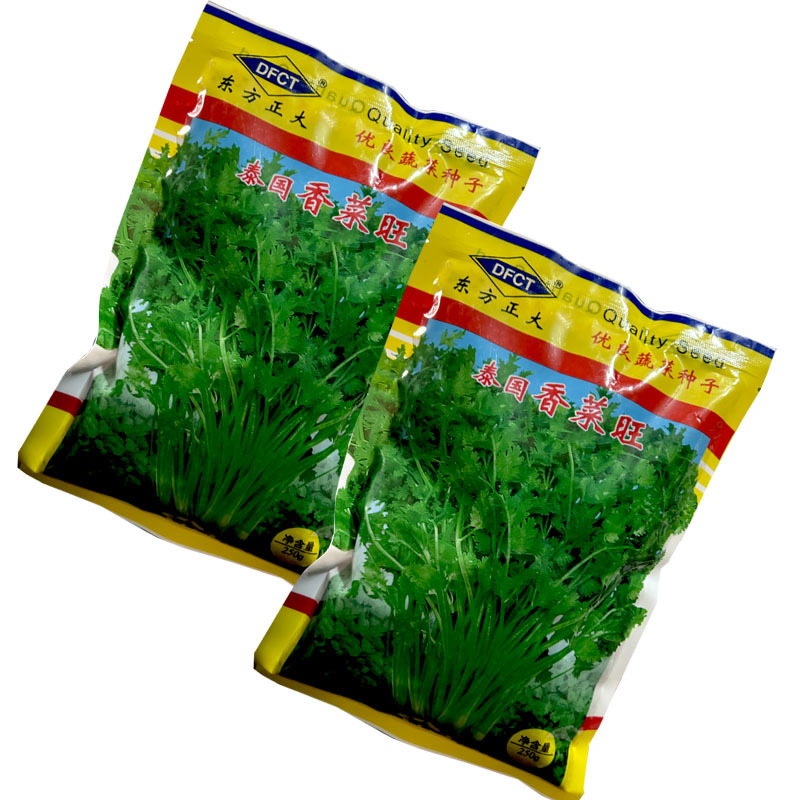 泰国香菜旺香菜种子晚抽苔大叶芫荽250g耐热耐寒耐抽苔