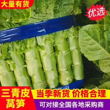 【精品】山东莴笋三青皮莴笋基地特惠直供欢迎来电!