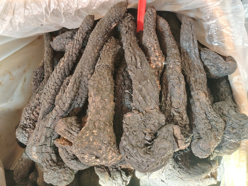 肉苁蓉大货价22.5元/斤