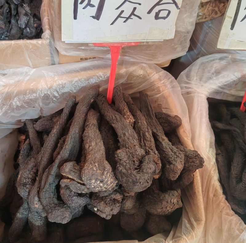 肉苁蓉大货价22.5元/斤