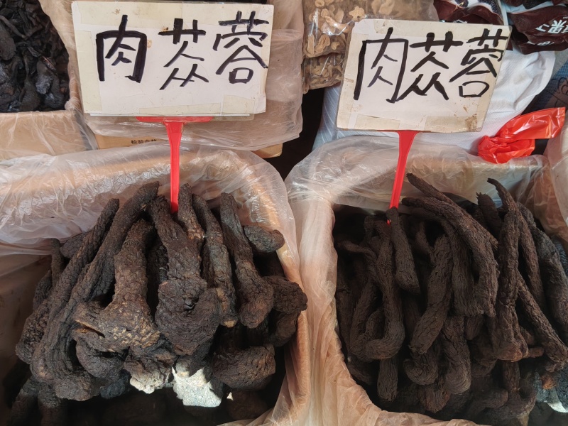 肉苁蓉大货价22.5元/斤