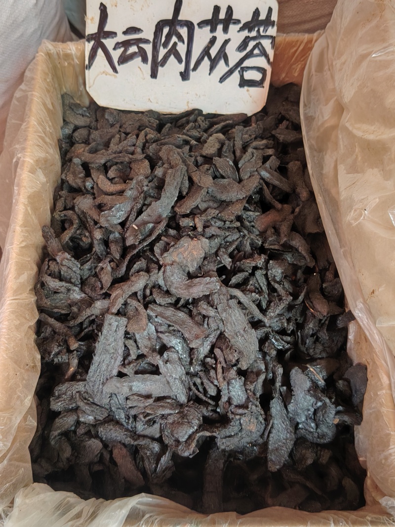 肉苁蓉大货价22.5元/斤