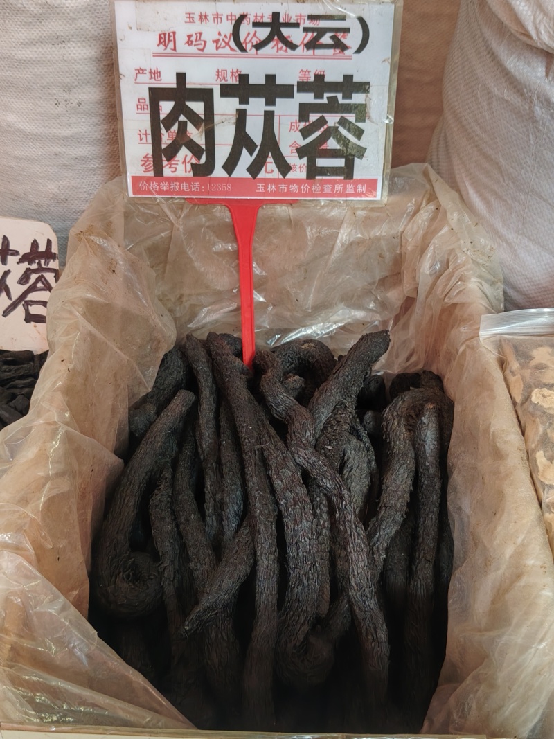 肉苁蓉大货价22.5元/斤