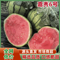 【推荐】湖北西瓜嘉秀6号西瓜大量上市价格便宜