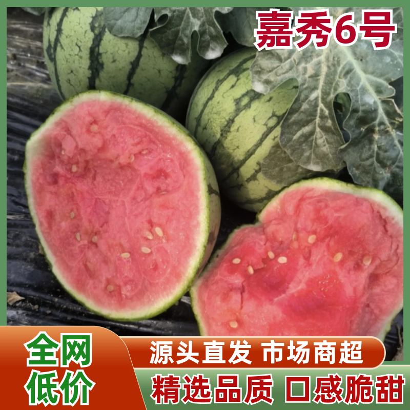 【热卖中】嘉秀6号西瓜江夏产区甜度高皮毛好对接全国