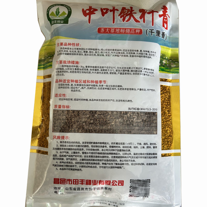 中叶铁杆香菜种子四季播耐热耐寒耐抽苔高产芫荽种子味浓
