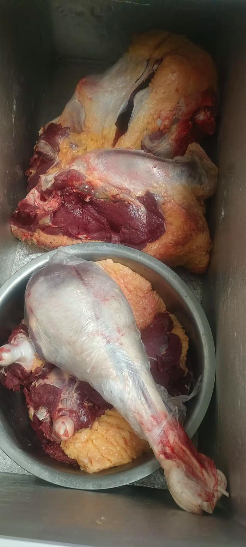 工厂直发鸵鸟肉鸵鸟腿诚信经营保质保量量大从优欢迎联系