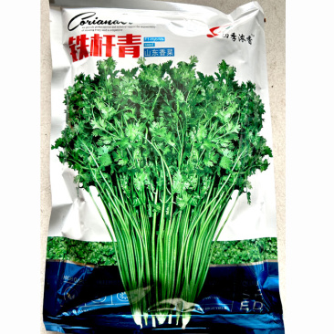 铁杆青山东香菜种子中叶耐热耐寒耐抽苔芫荽种子四季易种植