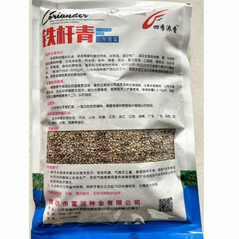 铁杆青山东香菜种子中叶耐热耐寒耐抽苔芫荽种子四季易种植