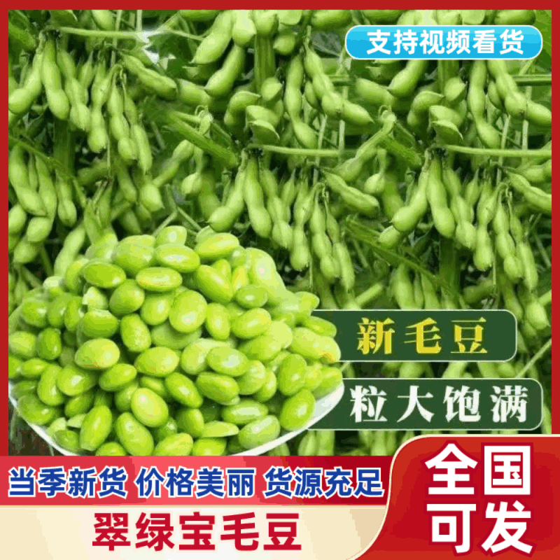 【热卖】安徽阜南翠绿宝毛豆籽粒饱满口感清甜大量上市