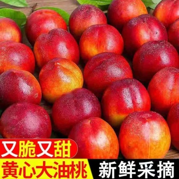 油桃电商一件代发，市场批发都有货可以帮忙找车