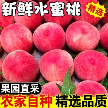 水蜜桃电商一件代发，市场批发