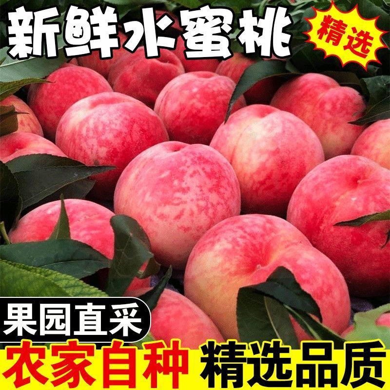 水蜜桃电商一件代发，市场批发