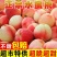 水蜜桃电商一件代发，市场批发