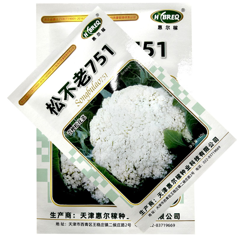 松不老751青梗松花菜种子花梗绿中熟春季花球松大