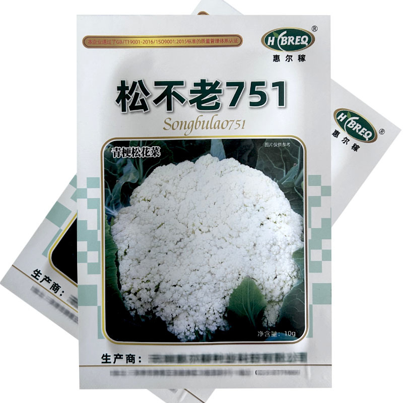 松不老751青梗松花菜种子花梗绿中熟春季花球松大