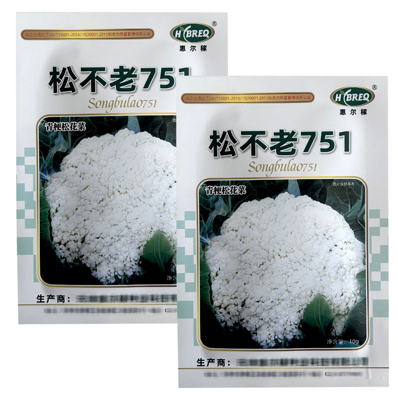 松不老751青梗松花菜种子花梗绿中熟春季花球松大