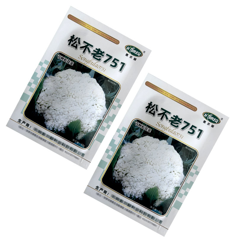 松不老751青梗松花菜种子花梗绿中熟春季花球松大