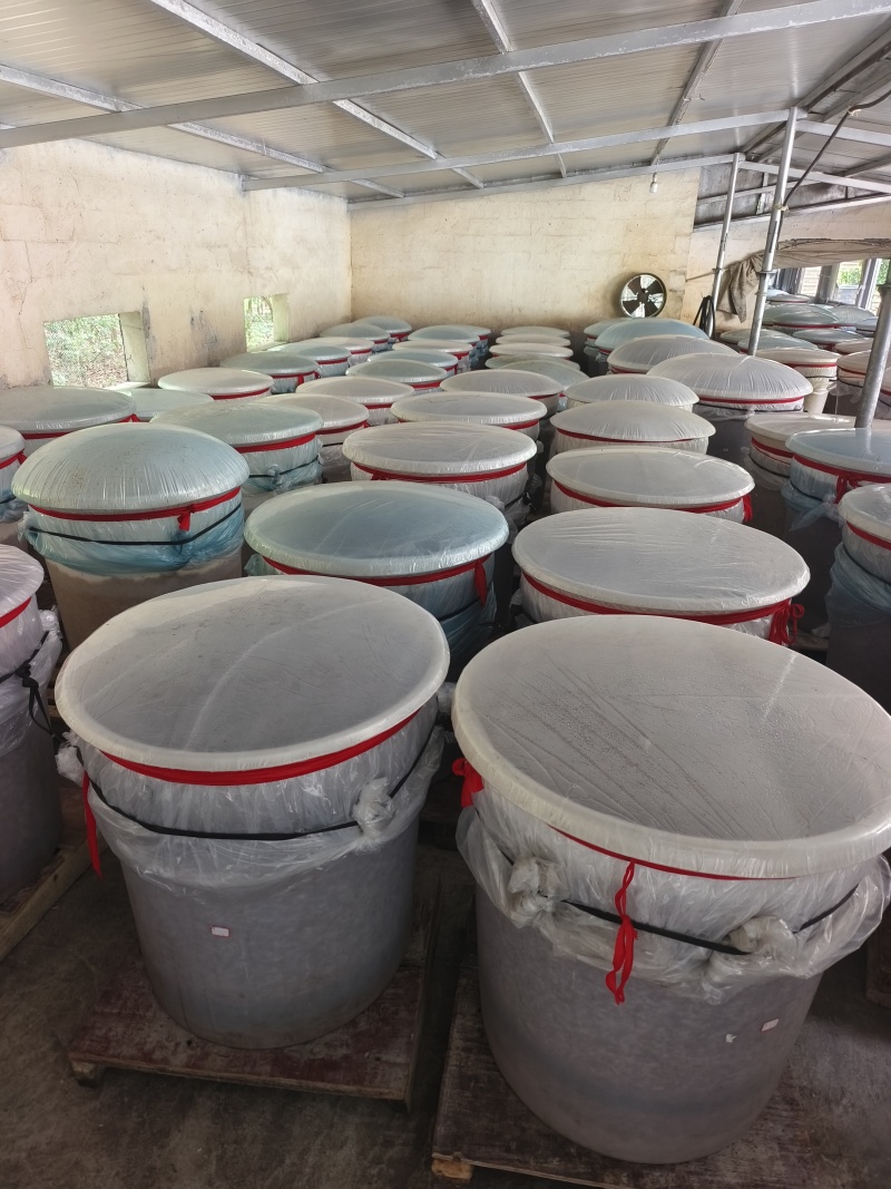米酒传统工艺酿造米酒纯手工全国发货