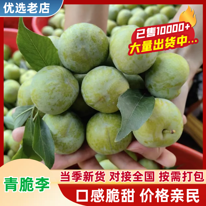 青脆李精品李子产地直发量大从优品质保障可对接全国客商