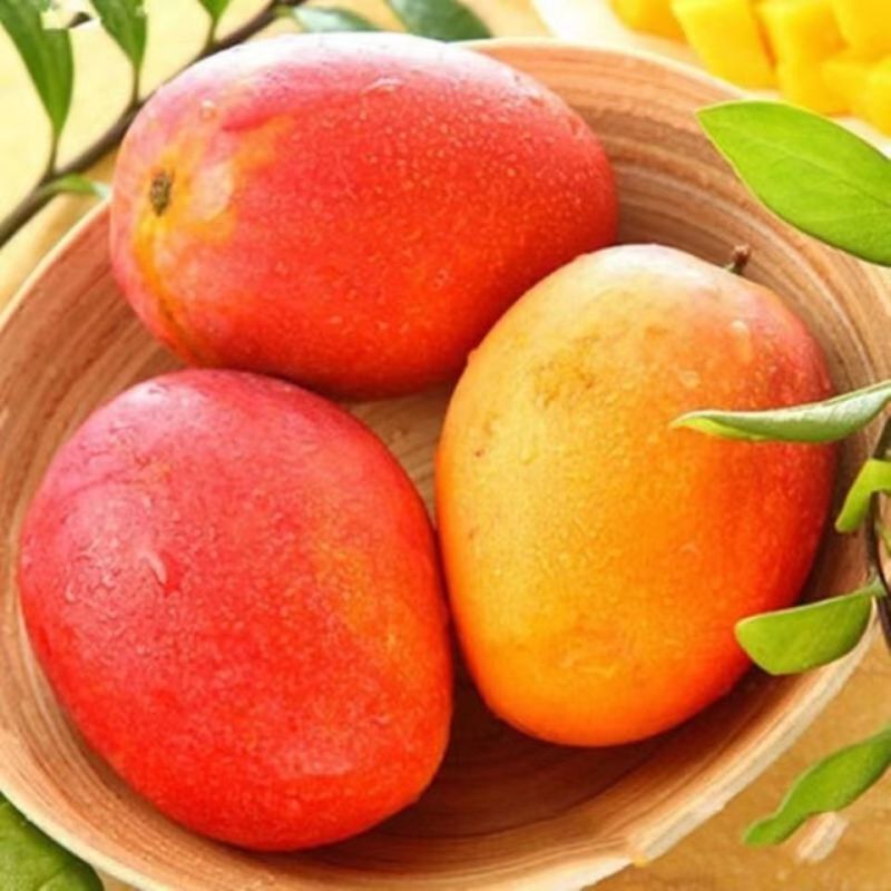 云南澳芒苹果芒5斤大芒果当季新鲜水果应当季