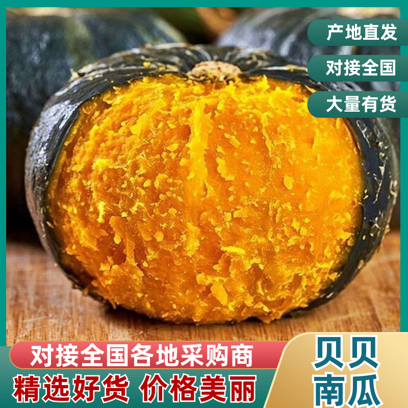 陕西贝贝南瓜产地直发品质保证对接商超市场电商等