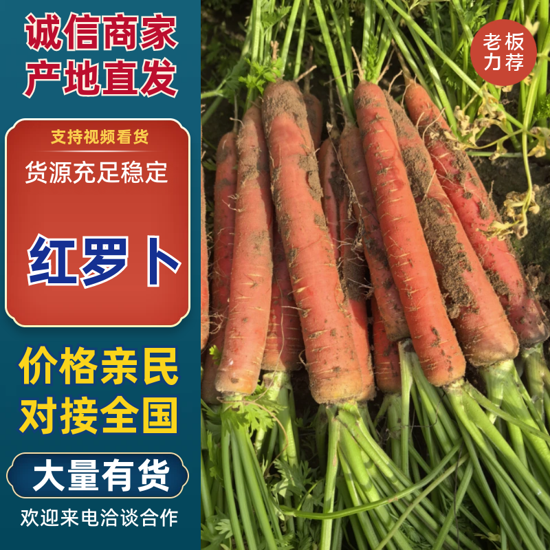 陕西产区水果红罗卜，脆甜多汁，现挖现发