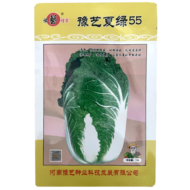 豫艺夏绿55白菜种子早熟耐热10g白菜种子黄心大田基地