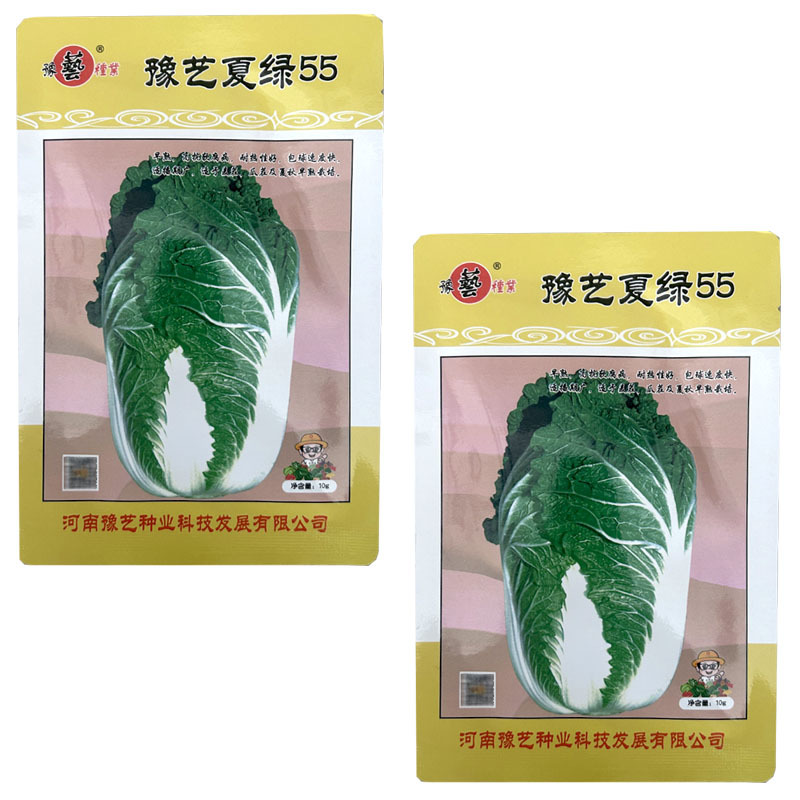豫艺夏绿55白菜种子早熟耐热10g白菜种子黄心大田基地