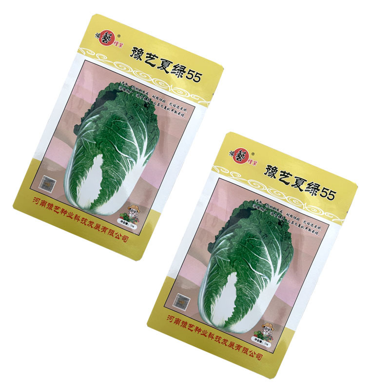 豫艺夏绿55白菜种子早熟耐热10g白菜种子黄心大田基地