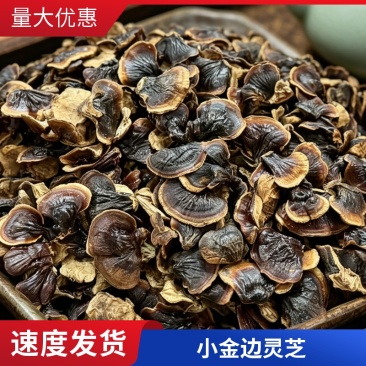 金边香灵芝竹灵芝黑灵芝不苦一件代发农户直邮