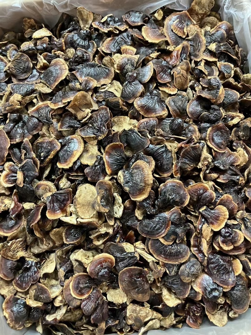 金边香灵芝竹灵芝黑灵芝不苦一件代发农户直邮