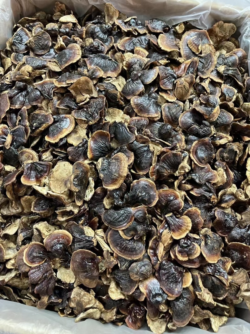 金边香灵芝竹灵芝黑灵芝不苦一件代发农户直邮