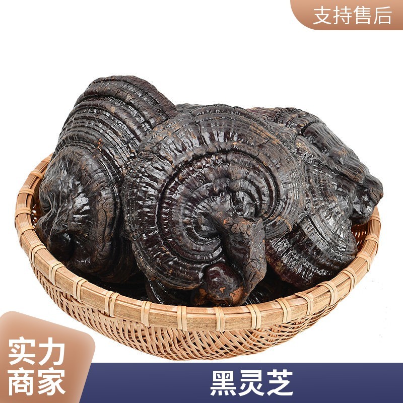黑灵芝灵芝种植地直发一件代发不苦菌香味浓山东黑芝