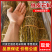 《铁皮石斛》云南高山软脚石斛/规格齐全/价格便宜欢迎采购
