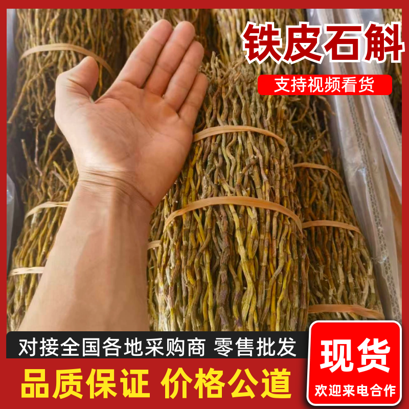 《铁皮石斛》云南高山软脚石斛/规格齐全/价格便宜欢迎采购
