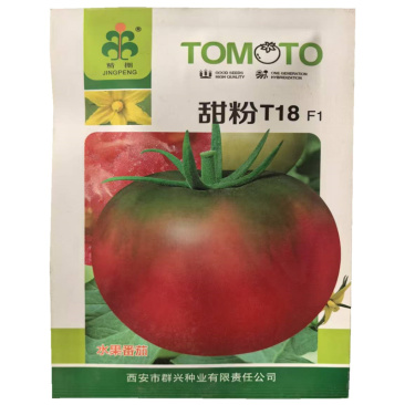 甜粉T18番茄种子中早熟粉红果水果番茄种子口感西红柿种子