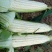 河南南阳甜玉米上市中，颗粒饱满，保质保量。可视频看货