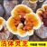 高产灵芝培育菌包灵芝培养基菌棒易成活出菇率高
