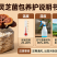 高产灵芝培育菌包灵芝培养基菌棒易成活出菇率高