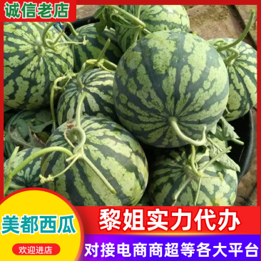 美都西瓜2026四川产区品质保障支持供应全国商超团购