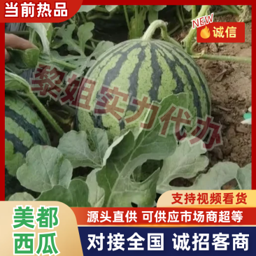 美都西瓜产地直发四川资阳2026头茬现摘西瓜欢迎致电