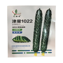 津星1022黄瓜种子油亮水果型长黄瓜种子高产亿联特