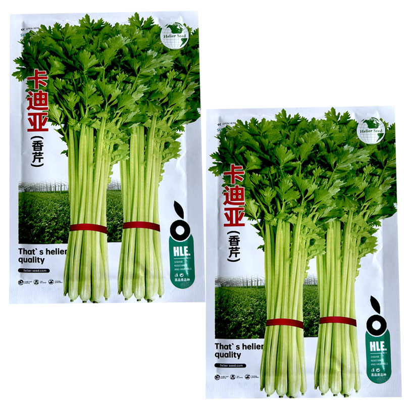 卡迪亚香芹种子小芹菜抗病实心纤维少香味特浓基地专用