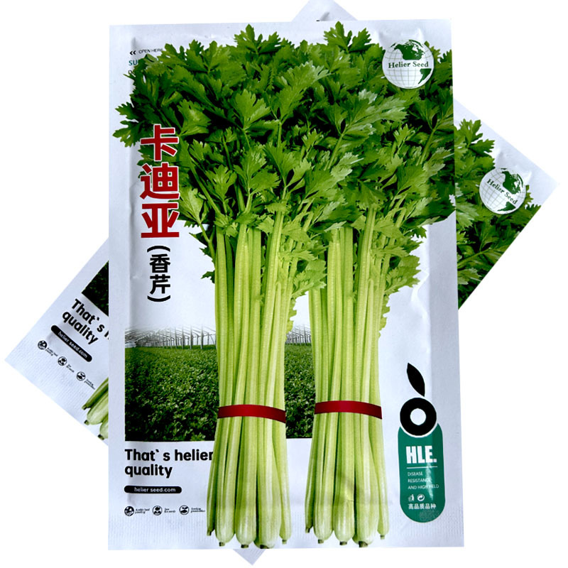 卡迪亚香芹种子小芹菜抗病实心纤维少香味特浓基地专用