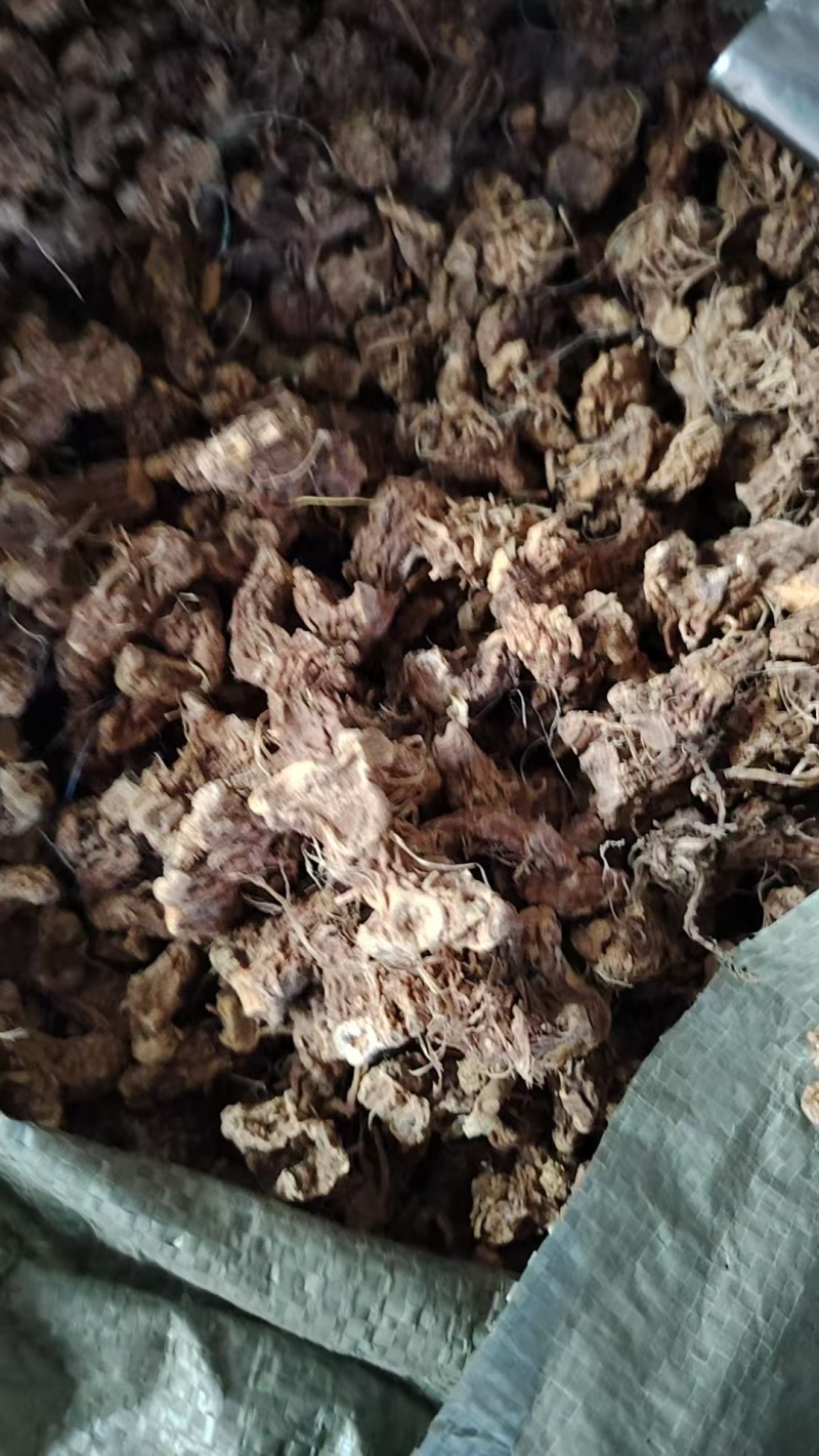 河南射干价格优惠质量好走货快欢迎询价对接全国量大从优热卖