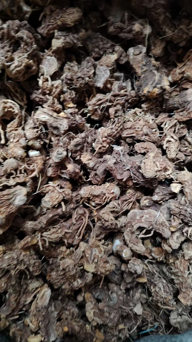 河南射干价格优惠质量好走货快欢迎询价对接全国量大从优热卖
